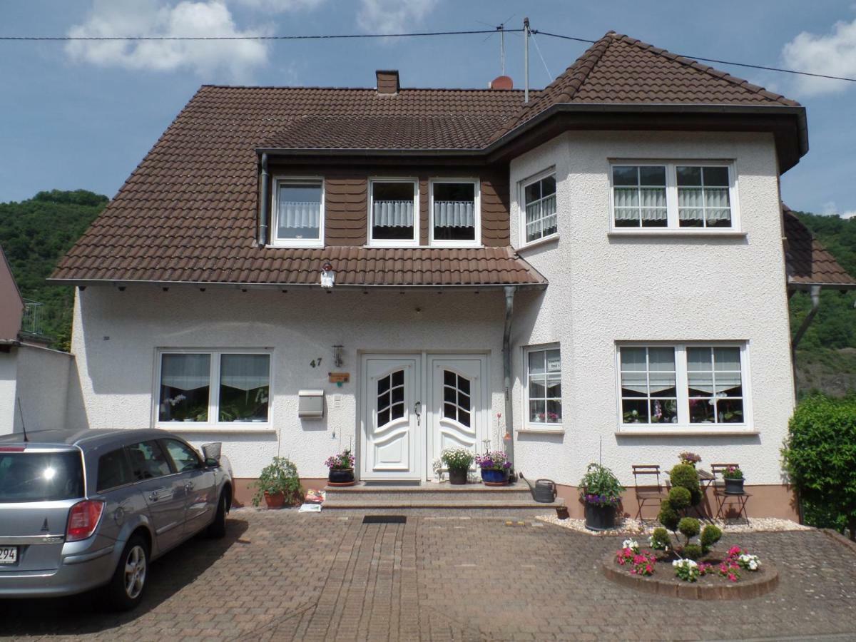 Ferienwohnung Erz Burgen  Extérieur photo