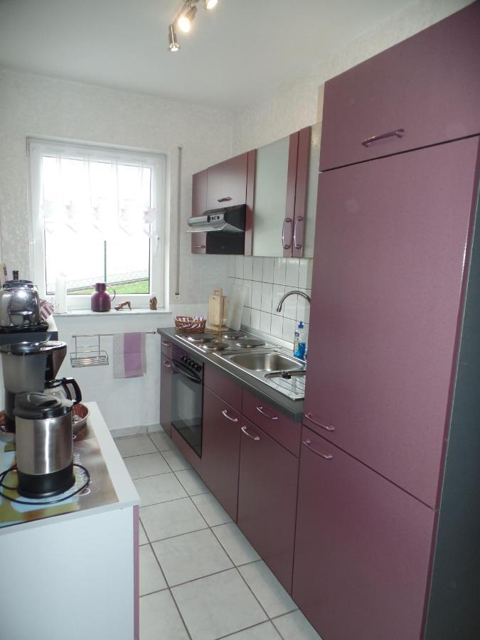 Ferienwohnung Erz Burgen  Extérieur photo